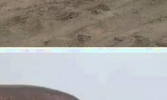 Imagem 2: Ótimos terrenos planos em Três Rios RJ