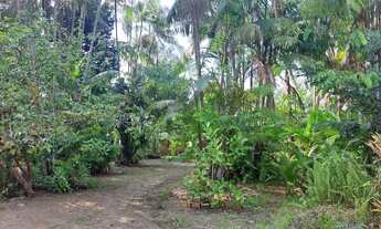 Imagem 2: CASA TIPO SITIO EM AGUAS LINDAS COM 3 QUARTOS E GRANDE AREA FRUTIFERA ACEITO PARCELAMENT