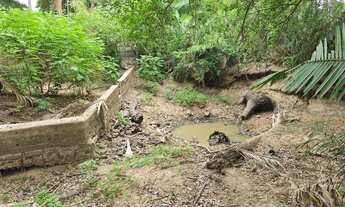 Imagem 4: Terreno para sítio 15 x 147 a 30 km de Teresina