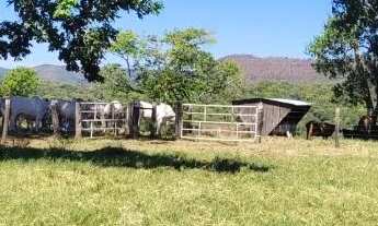 Imagem 4: OPORTUNIDADE-Fazenda a 65 km de Palmas 116 alqueires!
