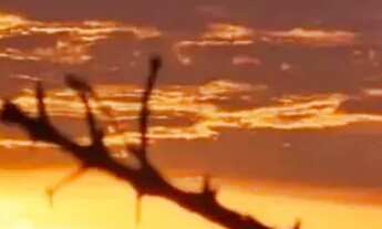 Imagem 3: Vendo tereno de chácara na ponte alta próximo ao clube dos vigilantes