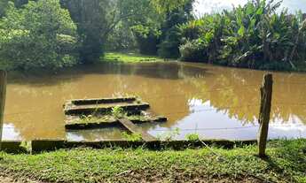 Imagem 3: Sítio Completo à Venda - 4 Hectares Escriturados em Taquara/RS