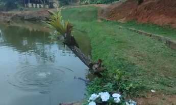 Imagem 2: Terreno 2 alqueires, escriturado em Córrego do Deserto, Alfredo Chaves ES.