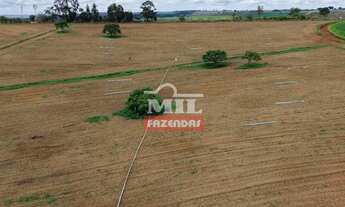 Imagem: Chácara 9 alqueires (43 hectares) Leopoldo