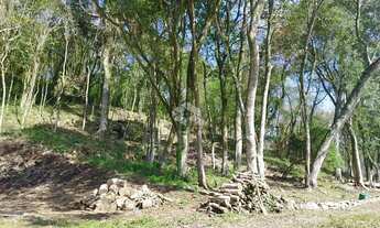 Imagem 2: Area de sítio em Boa Vista do Sul