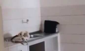 Imagem 11: Aluga-se casa em Ouro Preto