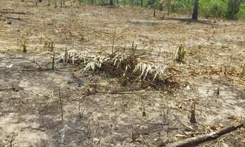Imagem 3: Vendo terreno 100 x 28 no arraial/santahellena São Luís