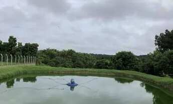 Imagem 7: Vendo terreno com 520.000,00 mil m2, na AM 010