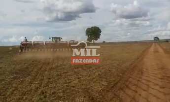 Imagem 5: Fazenda em Arenópolis-GO. 92 Alqueires