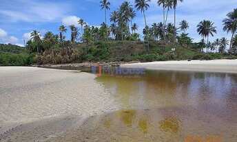 Imagem 3: TEMOS VOG MARINE PÉ NA AREIA à venda em Ilhéus, BA
