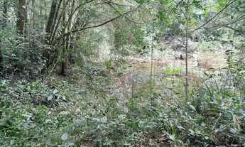 Imagem 3: Chácara com tanque de peixe em quitandinha