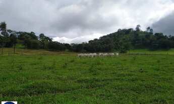 Imagem 7: Chácara à Venda em Taquaral-GO