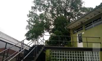 Imagem 4: Casa Comercial 600mts em Higienópolis