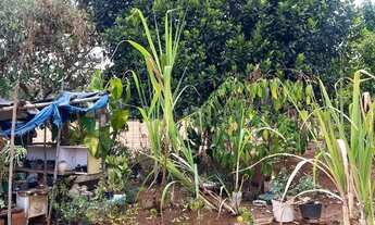 Imagem 7: CHÁCARA , CINCO MIL METROS ,QUADADOS NA RAJADINHA I A VENDA