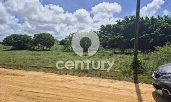 Imagem 2: Lote na Zona de expansão