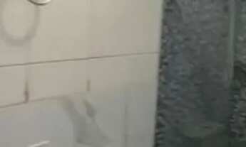 Imagem 7: Casa pra alugar Casa com 3 dormitórios