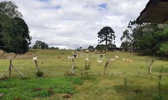 Imagem: Chácara à venda, 43000 m² por R$ 990.000,00