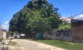 Imagem 2: Lote/Terreno para alugar com 2.320 m² em Sapiranga Fortaleza/CE