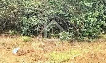 Imagem: QUINTAS DO BRUMADO