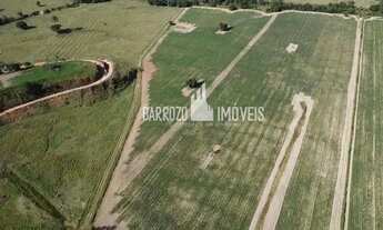 Imagem 4: Barrozo Imóveis - Fazenda a venda em Silva Jardim com 325 ha toda no pasto e plantação mil