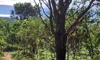 Imagem 5: Terrenos de 1.000m² a 19 km de Pirenópolis com oferta para os 10 primeiros