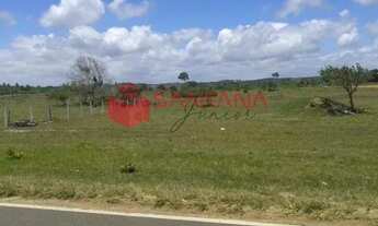 Imagem 6: Terreno para venda e aluguel, Mata De São João