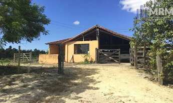 Imagem 2: Fazenda com 251 HA