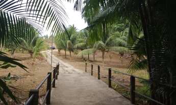 Imagem 6: Sítio à venda , 7710m2, Casa Sede 4 qtos. Vila Esperança São Luís MA