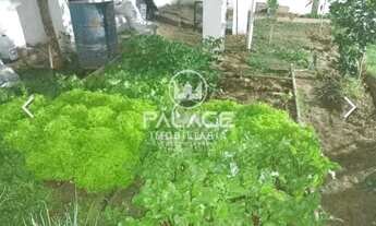 Imagem: Fazenda/Sítios/Chácaras À Venda Glebas