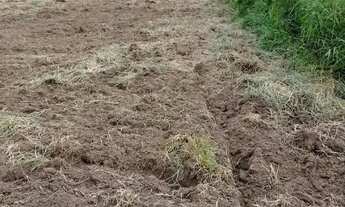 Imagem 5: Chácara em Estrada Vicinal Francisco Ortiz de Moraes - Ortizes - Piedade/SP