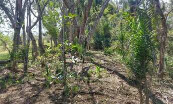 Imagem 3: Vendo chácara Bonsucesso (igreja de Santa Terezinha)Sjcampos