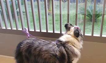 Imagem 7: Studios a venda - Av. Pompéia - Lançamento - BOTANÍ - GAMARO - RENM = APARTAMENTOS A VENDA