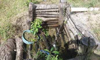 Imagem 6: Sitio em Passa Tempo - LEIA O ANÚNCIO!