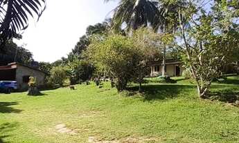 Imagem 5: Sítio com 7000M², Abrantes Próximo Outlet Premium