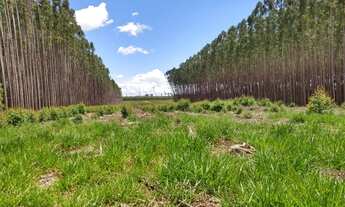 Imagem 5: Fazenda contígua a Cristalina com 5km margem livre na BR0-50 - Localização Privilegiada!