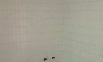 Imagem 5: Casa/ Sobrado para alugar com 4 quarto(s