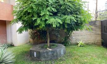 Imagem 3: Emp Cervantes, sala 26m², vizinho Pça. Miguel Cervantes- Recife - PE