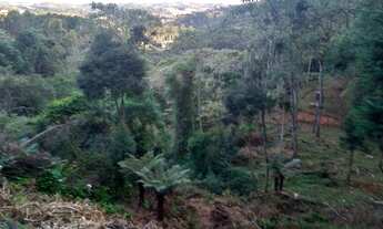 Imagem 2: TERRENO NO MORRO DO ELEFANTE