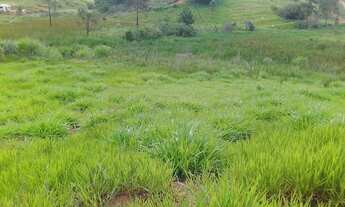 Imagem 3: Terreno de 2.200 M2 de frente pra estrada municipal