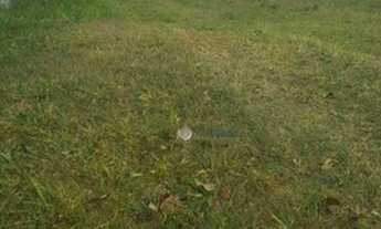 Imagem 6: Terreno à venda, 1459 m² por R$ 1.100.000,00 - Parque Mirante Do Vale - Jacareí/SP