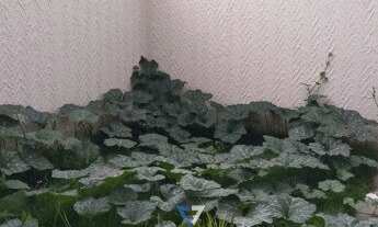 Imagem 2: Casa com 3 quartos - Bairro Residencial Pedro Miranda em Senador Canedo