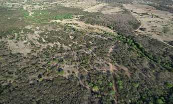 Imagem: Fazenda a venda em Pernambuco