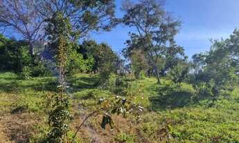 Imagem 3: Lotes mini chácaras a partir de 70 mil proximo Outlet