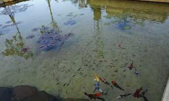 Imagem 3: Apartamento a venda em Rio de Janeiro