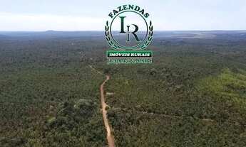 Imagem 5: Fazenda 210 Alqueires Agricultável Proximo Palmas