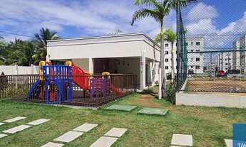 Imagem 5: Alameda da Costa, Barra dos coqueiros