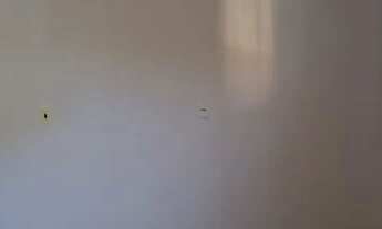 Imagem 7: Vendo casa Casa com 2 dormitórios