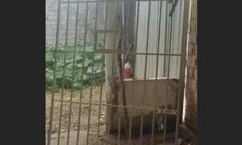 Imagem 2: Portão Casa com aluguel com preço sob consulta