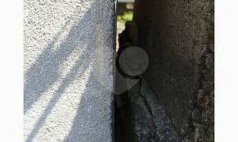 Imagem 2: Casa térrea para venda Vila Nova Galvão - São Paulo - SP