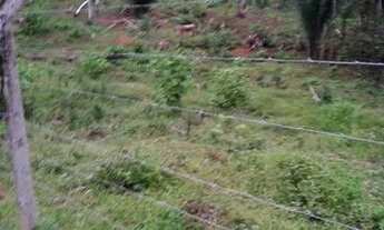 Imagem 4: Terreno pra chácara